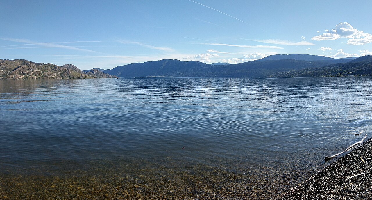 Swim Bay