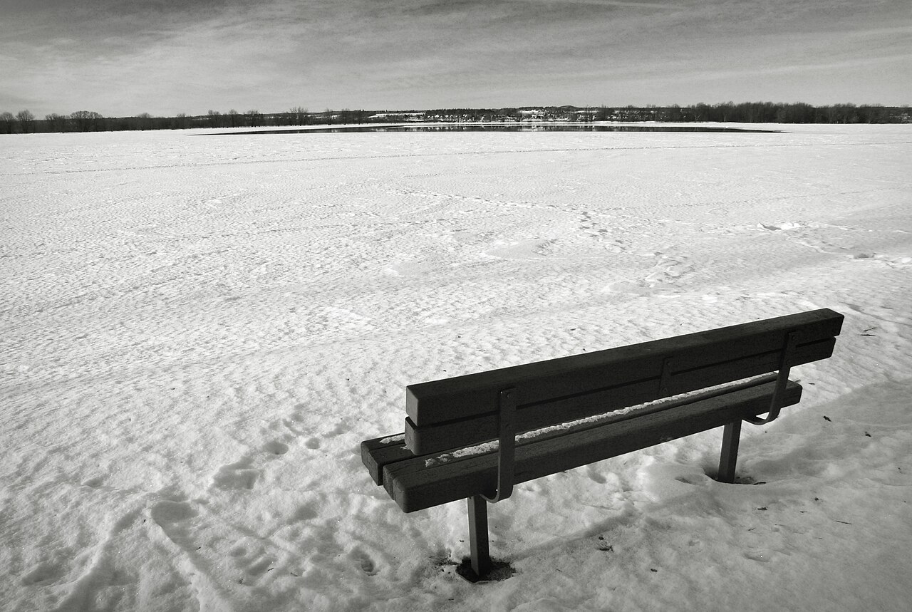 Petrie Island Beach