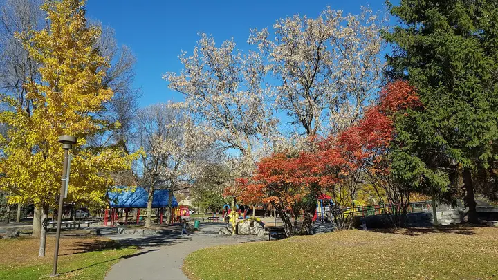 Brewer Park Cmplx Pool, Ottawa